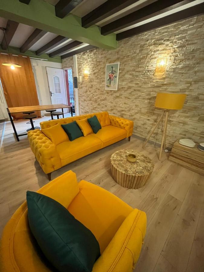 Appart Hotel Le 8 Le Duplex Mâcon 外观 照片